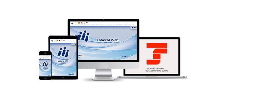 cailab programa web de nóminas en la nube, software de laboral online