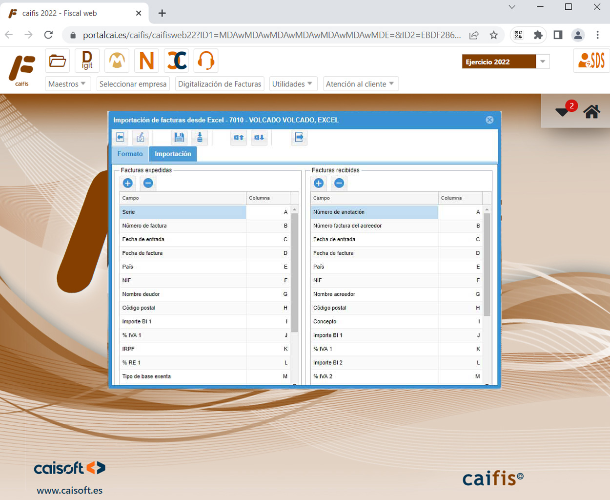Introducción de datos en ingresos y gastos desde Excel: software fiscal online CAIFIS